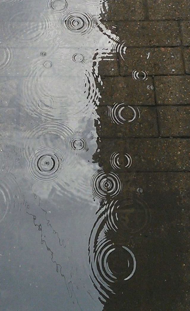 31548ec238942847e398a5702d6649c6.jpg