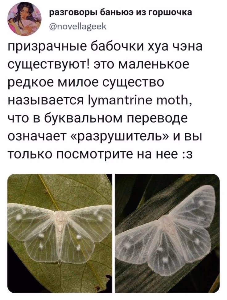 3172e23bc2a970a3ad4242433608514f.avif