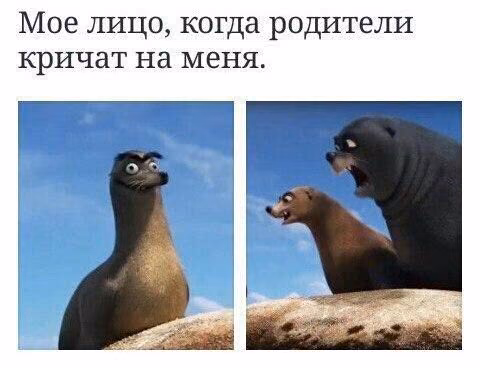 31a4a2c5fe53243b30bcb4e8e90de03d.avif