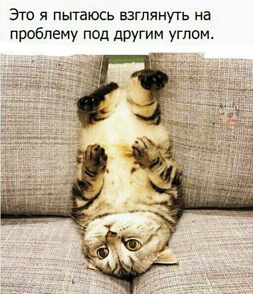 31ad10339435fb0f6352bfdc00f988f9.jpg