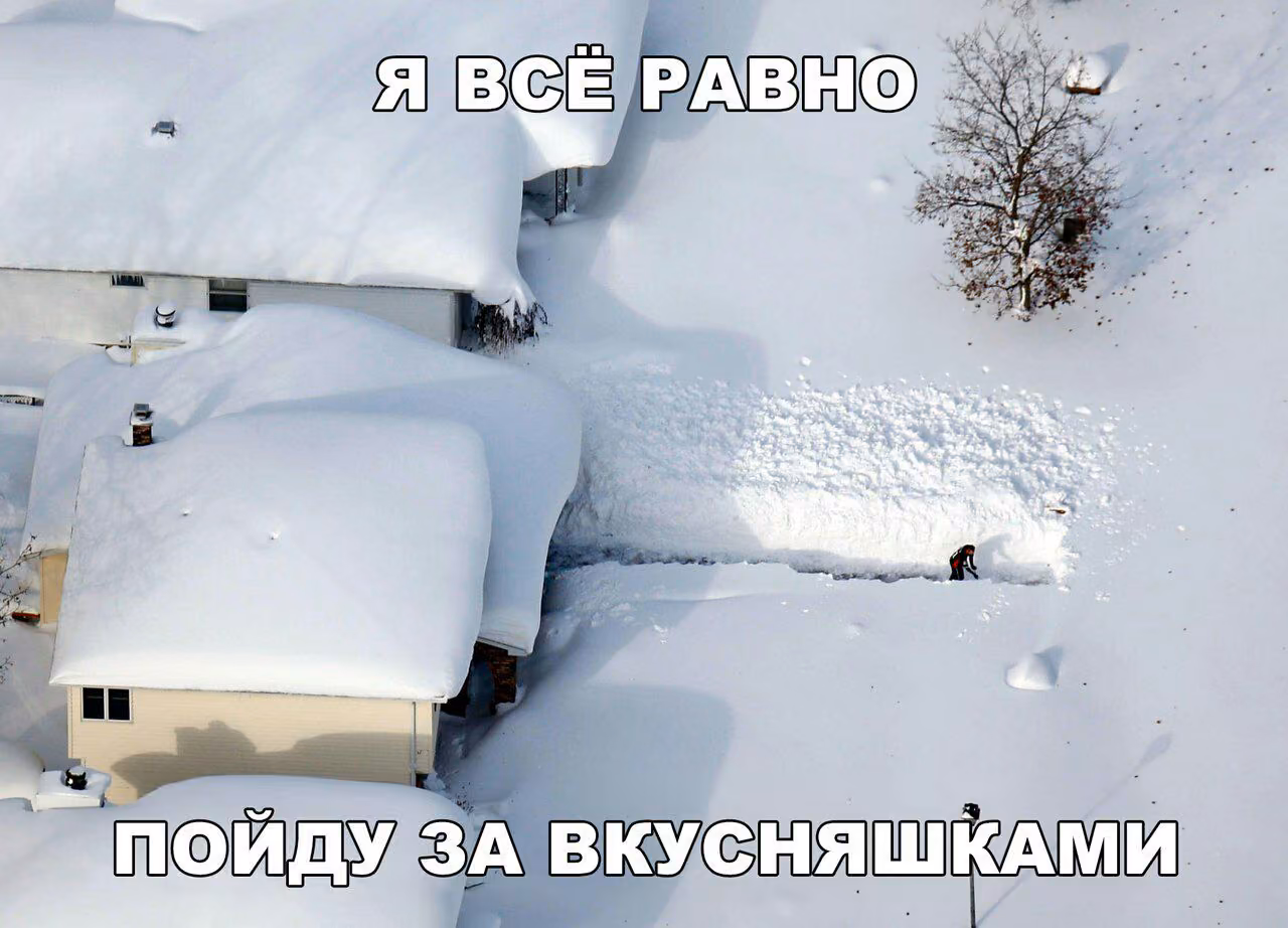 31af58ac23d22e7330f7a39e3ea9aabd.avif