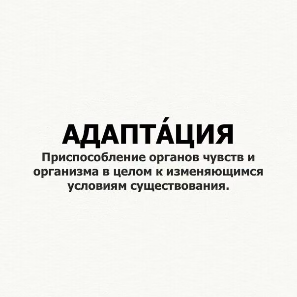 31b7b83dca900de632e3a47bc23e7247.jpg
