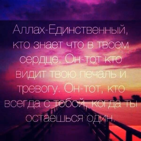 31dc506ae3907ccadbd8add9dc913174.jpg