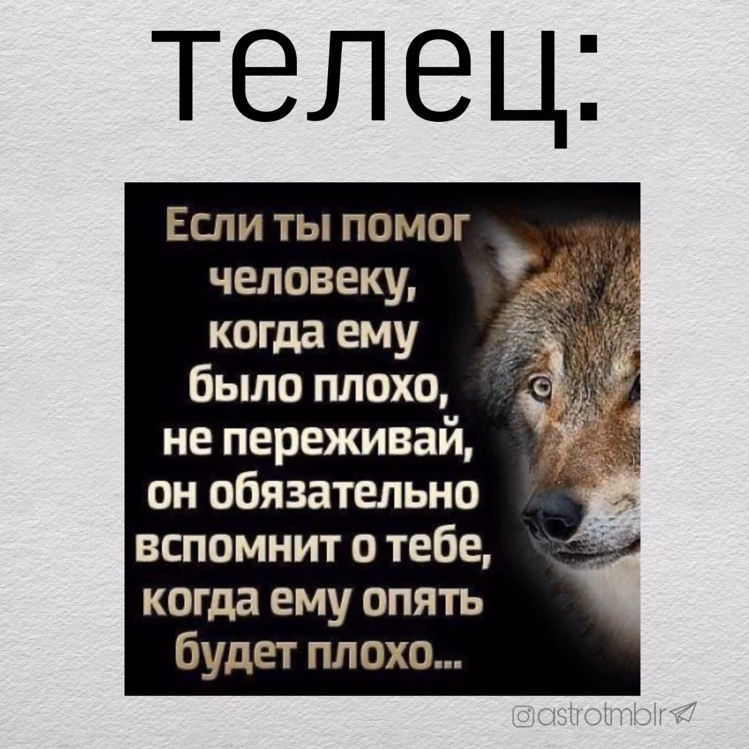 31f55a52915cc96b6a0b99a906d34bf0.avif