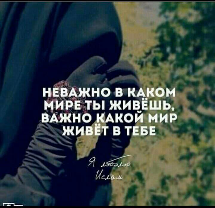 31fb7d53be4ef785d05c10e1015d318f.jpg