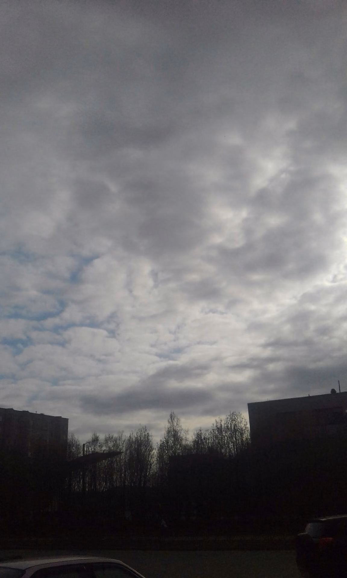 32075556f31e99b0a9b998b9287af7d6.jpg