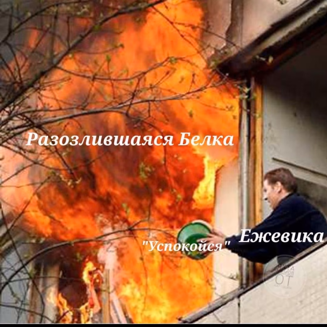 320aa294192ddd31ab45bd50fc879379.avif