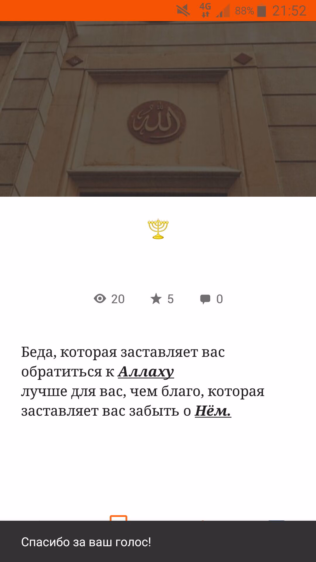 3213de72f2f0e0ae2bebb2e8fb1e2e8b.jpg