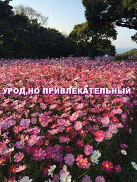 3218fa4fe91f8f6a68eabec975ff2c2d.avif