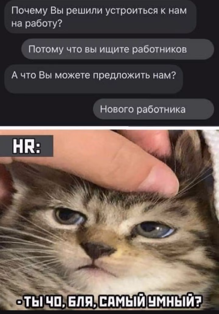 321a5eebb8c310a6543ac11fba792ed4.avif