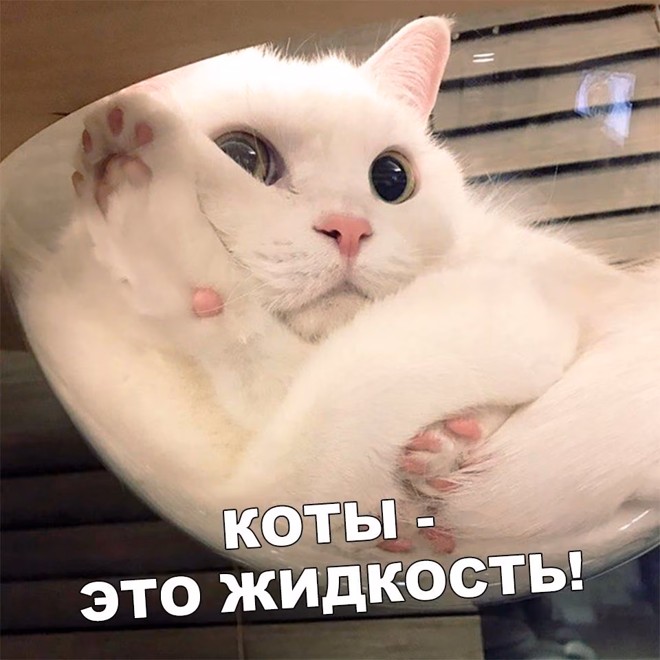 321dbc90b9ba99c995c1ff5e76739b91.jpg