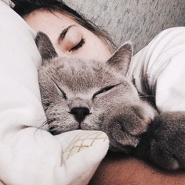 3233dabe93423683d4266db9c630f976.jpg