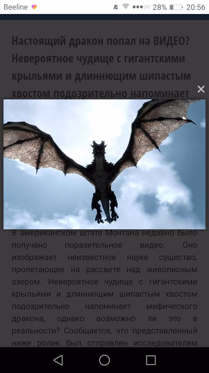 3236eef6f223a0e6192dc4c8dffc0aa2.avif