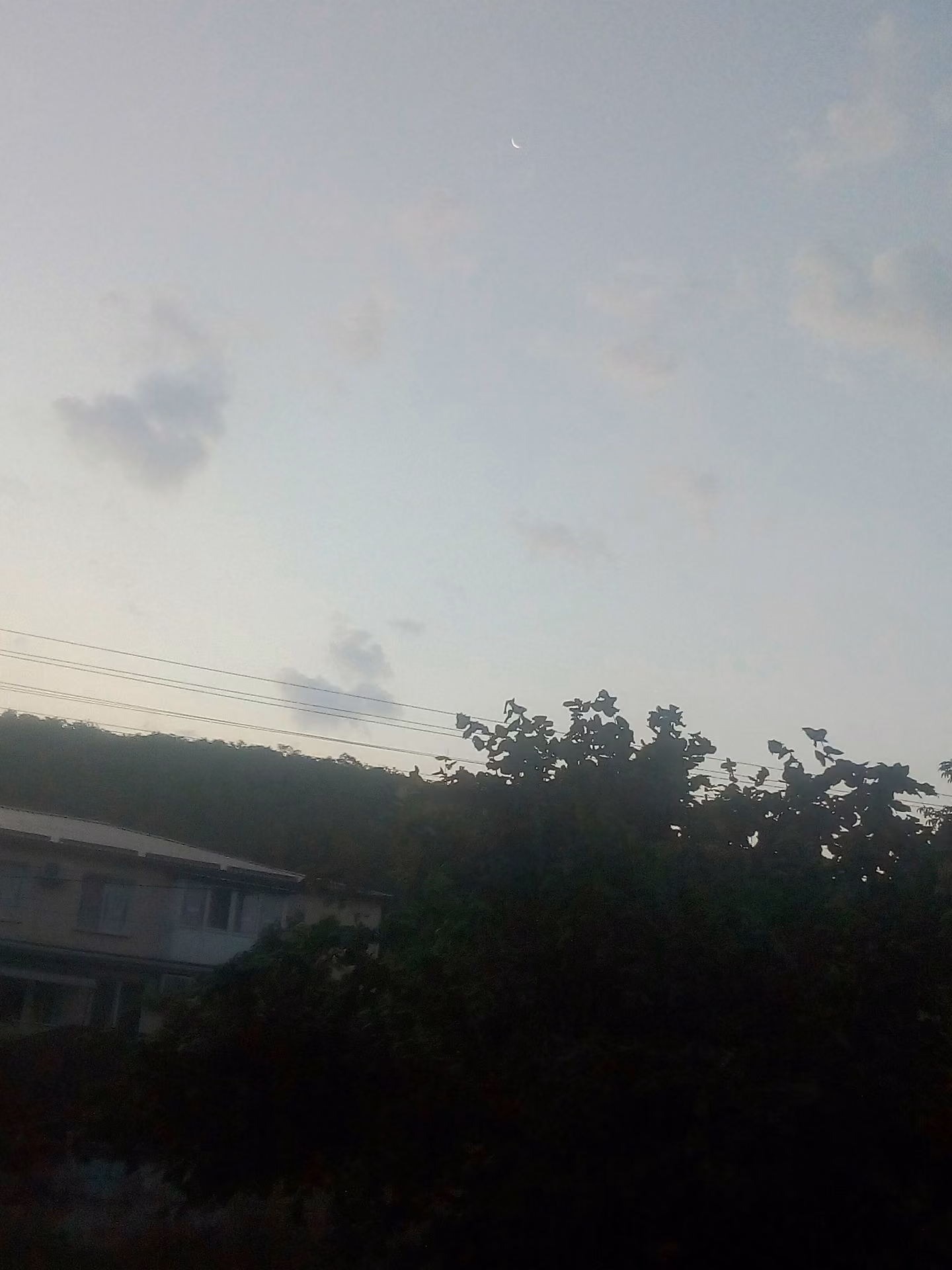 3240cf167a18e46cddcdb8cf91efd3d8.jpg