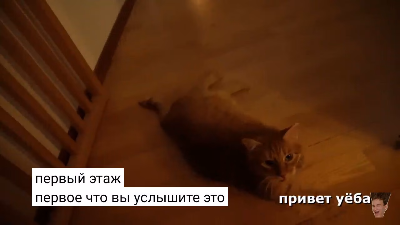 32558dbe89417d0fd9d5cdd7f9b91495.jpg
