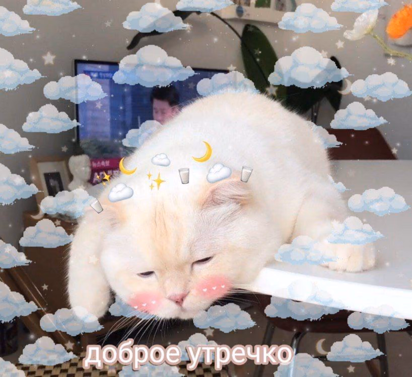 327f0df02700da71e47d7c00a05351d1.avif