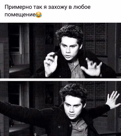 3288c5466aabd49cf1bd5c71f09a4ca3.jpg