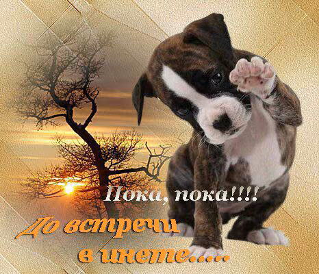 32941c1aa4b551424a15a199444221fa.avif