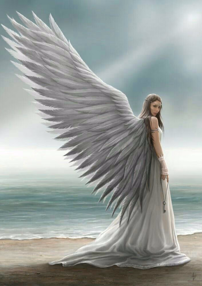 329ad6fdb98b9b85f7fb4fd80afb5b29.avif
