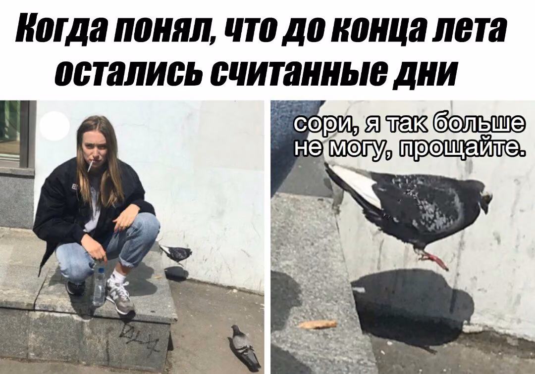 32a13092b1bbbc30bd3b92a4db738e35.jpg