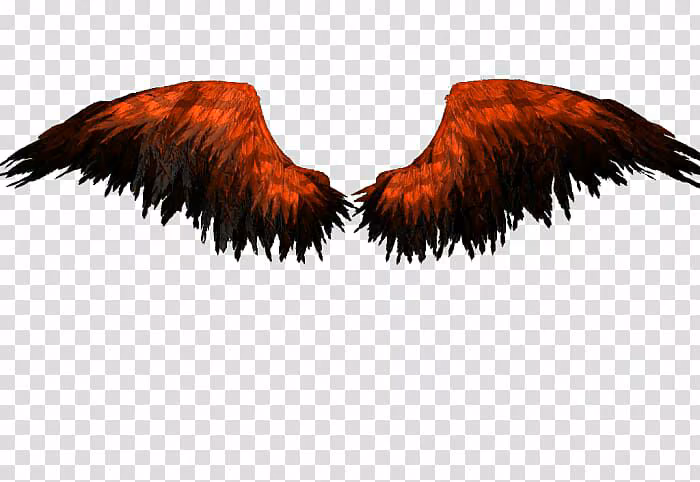 32b23dfbc4915263d3231ce4e5610566.avif