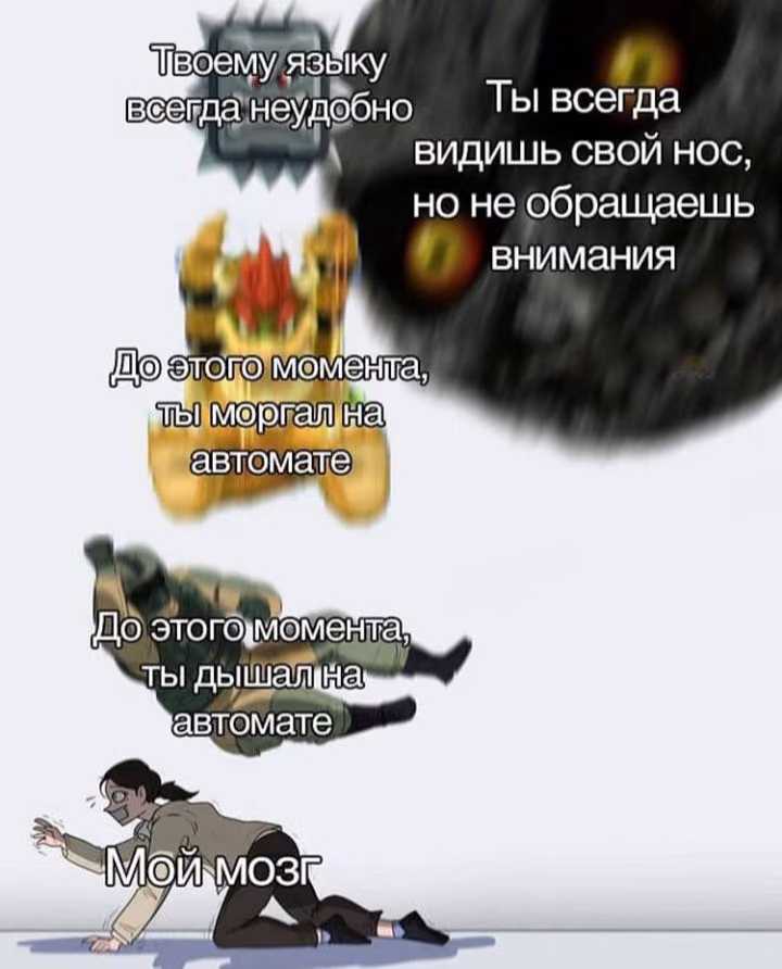 32c2d0304d88480a4f0a275a38d6842f.avif