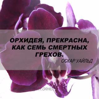 32e60154bb9c72b266782aeede4d5fd4.avif