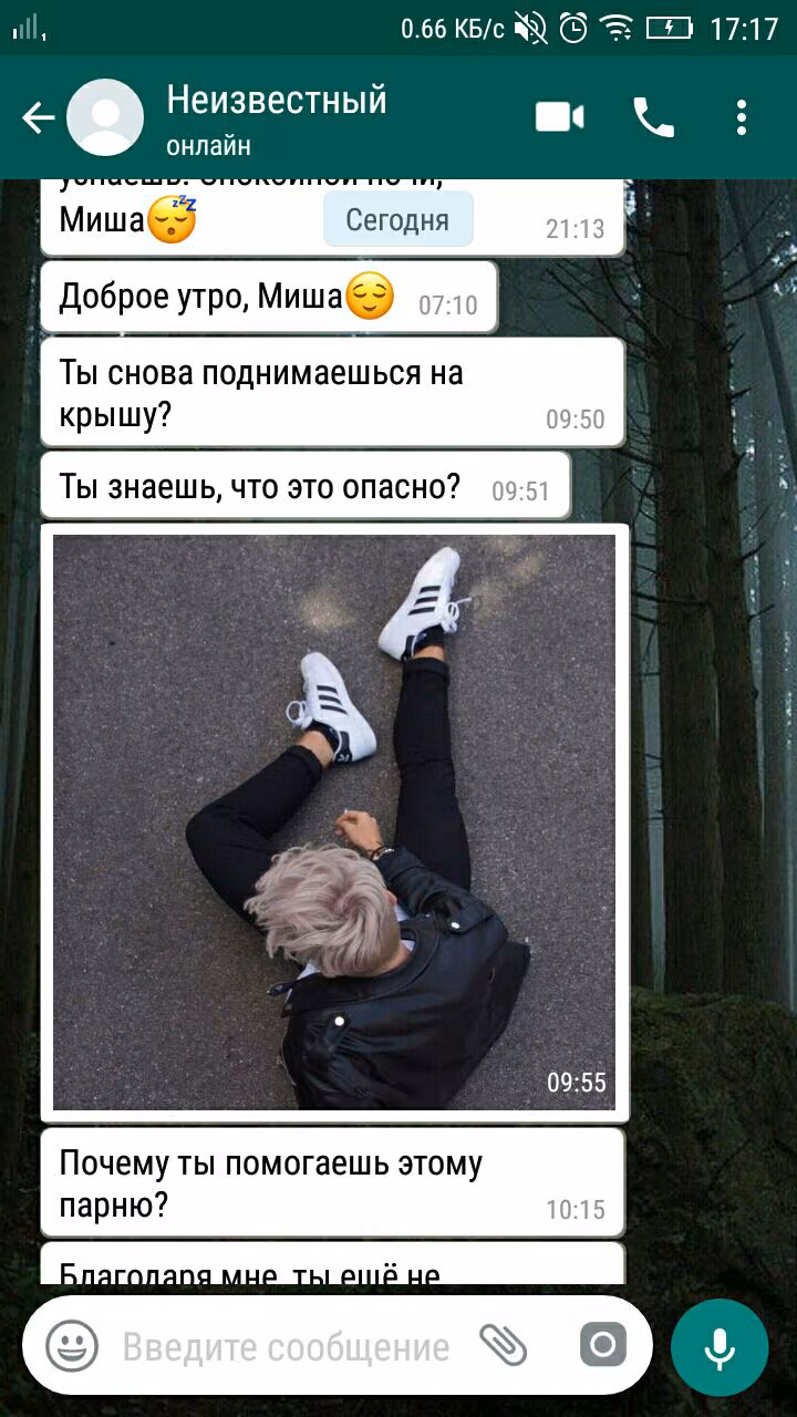 32f41dd79b27ad02a741267b63436c97.avif