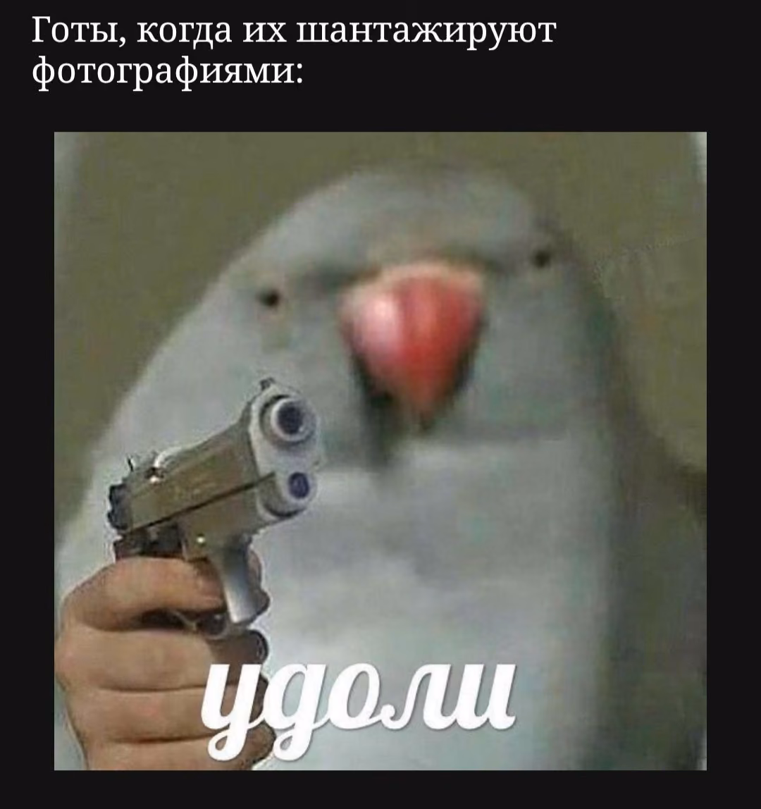 32f8168de8909457cf5a9d2b78c68ecb.avif