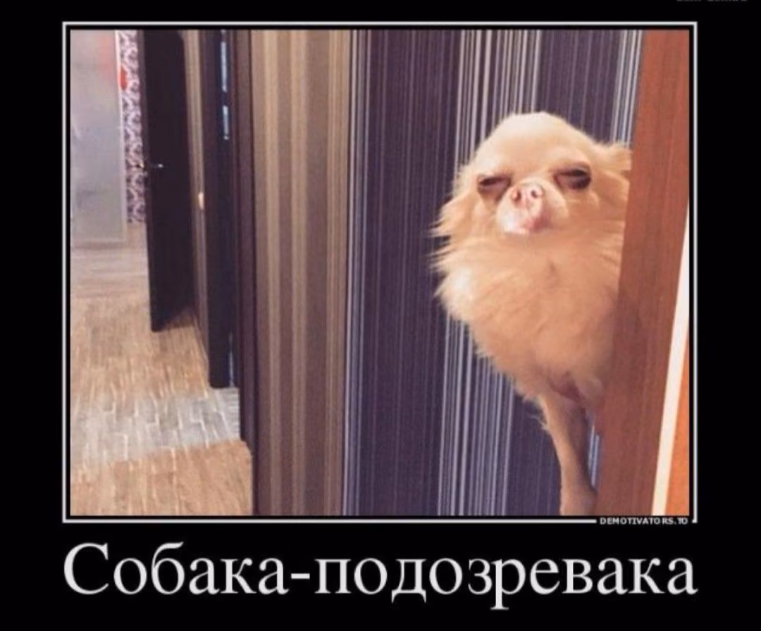 32f85ca9fa7512aede3991a51c376c87.avif