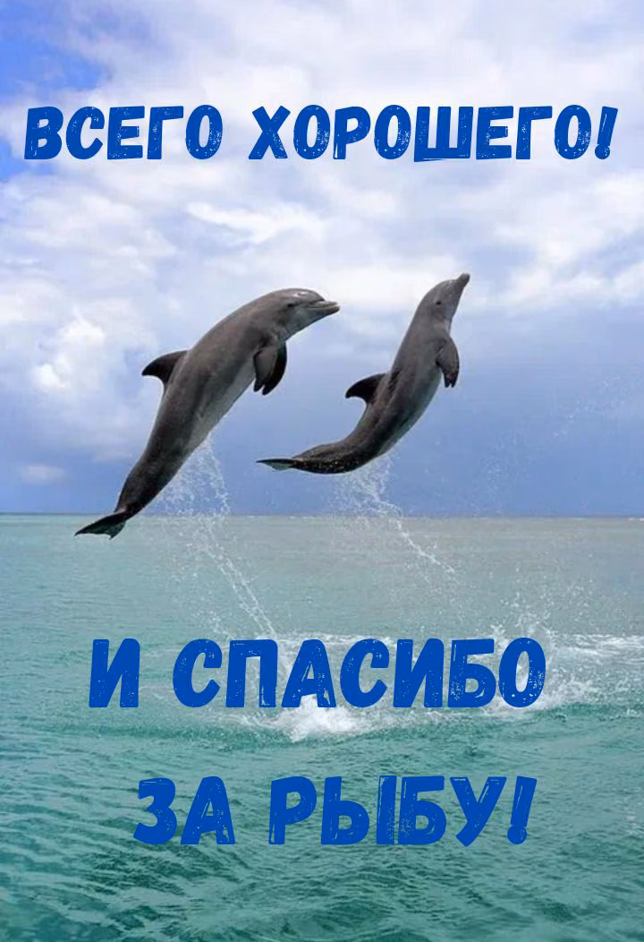 32f93f6e05828a6ae14910c476fa3455.avif