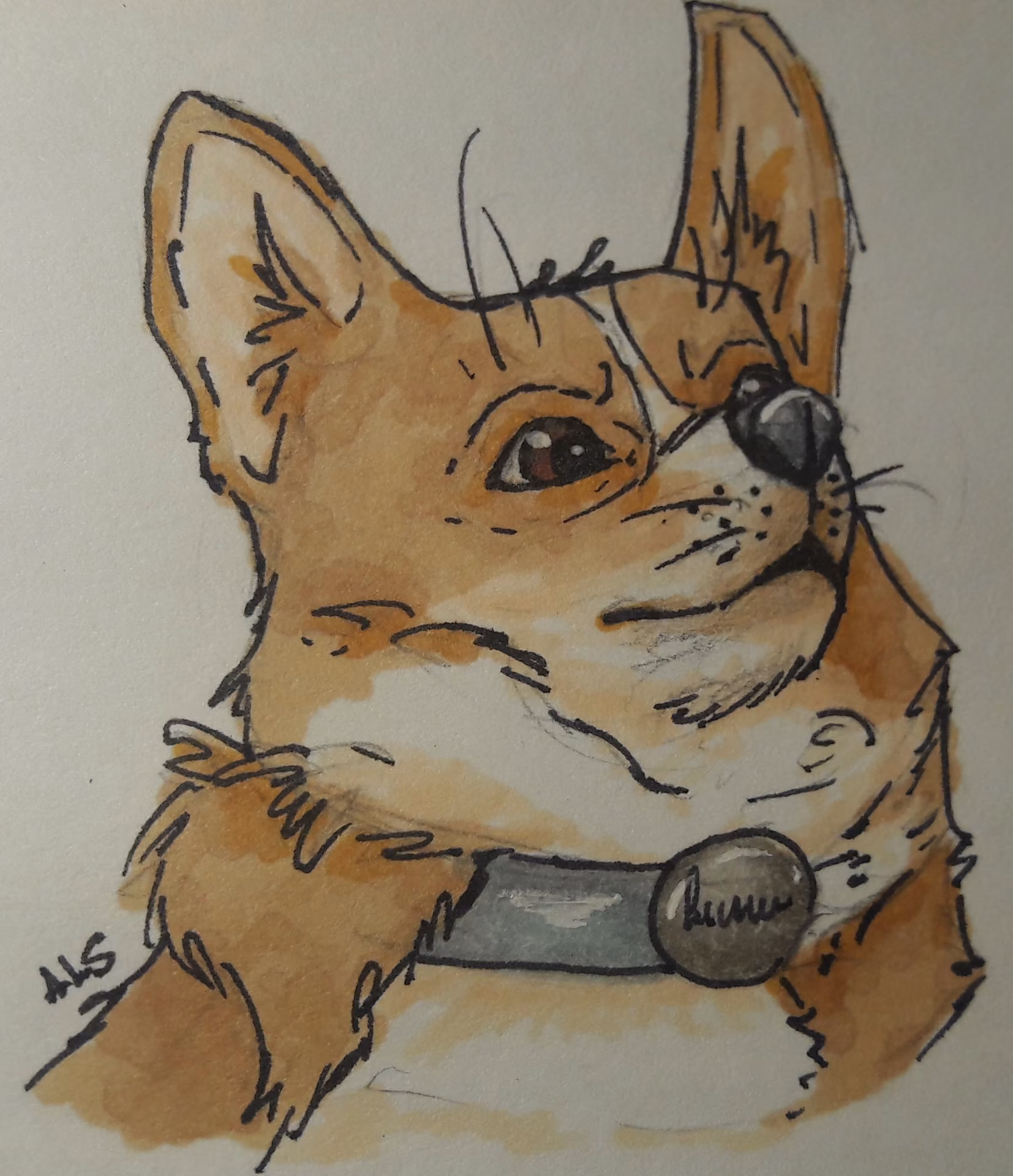 32fa74f6c0f6c3a8b416b8add75cf4f3.jpg