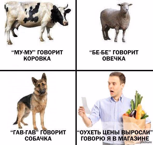 330b79ca4d562247b59f853f39da7717.avif