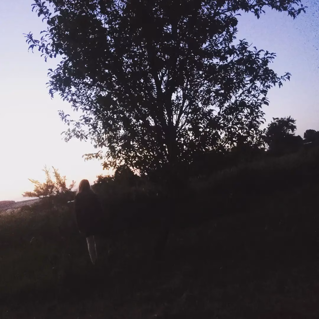 330e3506dbce57758ba07583850cfcd0.jpg