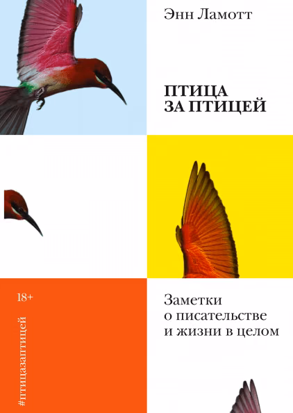 331272ecf4b907d329333b18d832492a.avif