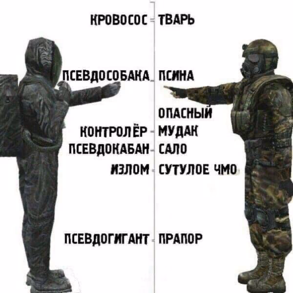 3318b5b3c688bca018f837d0e798506c.avif