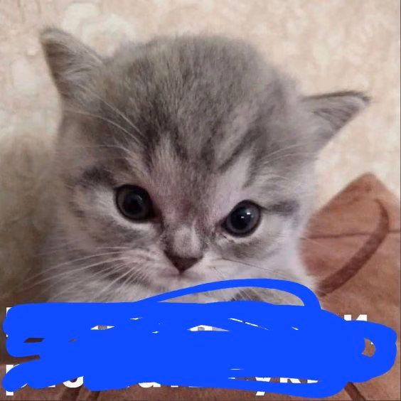 332106d9ae7ce98fc04da00dd722cfe8.jpg