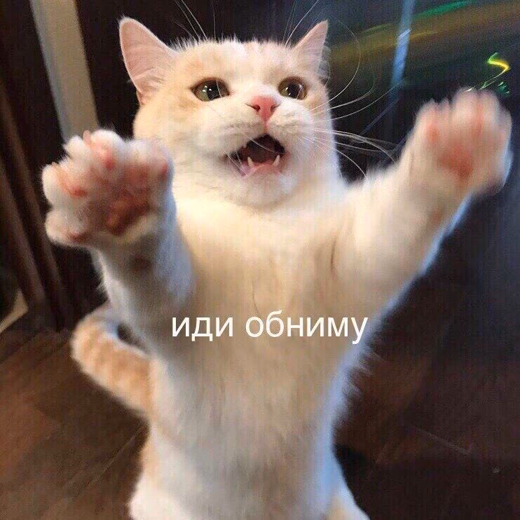 332a65e38bb2dfdfe8fa132dbefdaa01.jpg