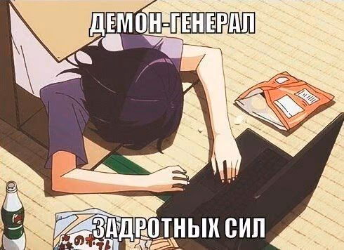 3336d1bb846a5abc97b5b1dc194bc9e5.jpg