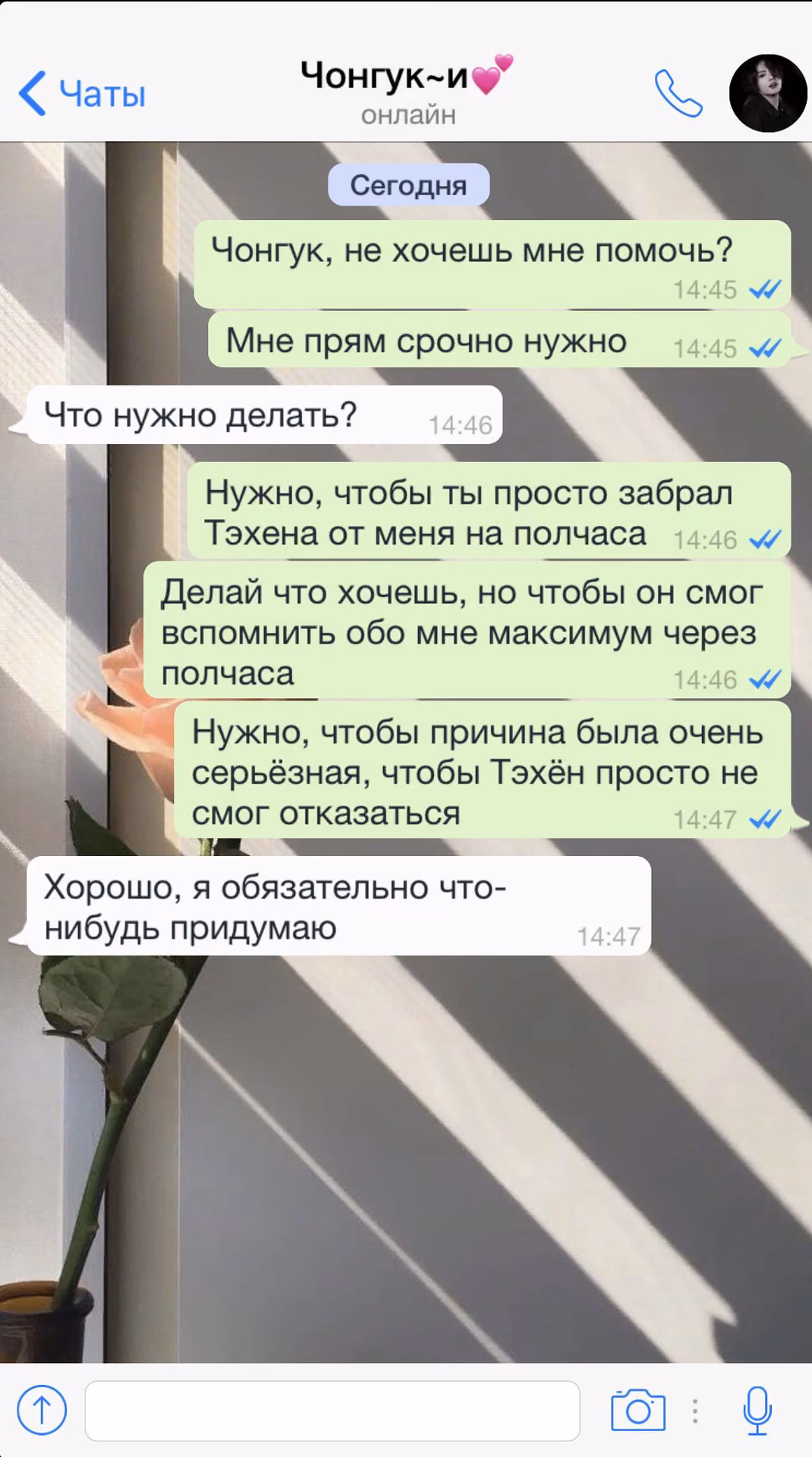 333bd753f55a0f4237c312da35a64608.avif