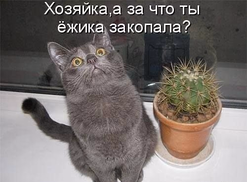 33415887c8b1fffbe7706746ee93bfa6.jpg