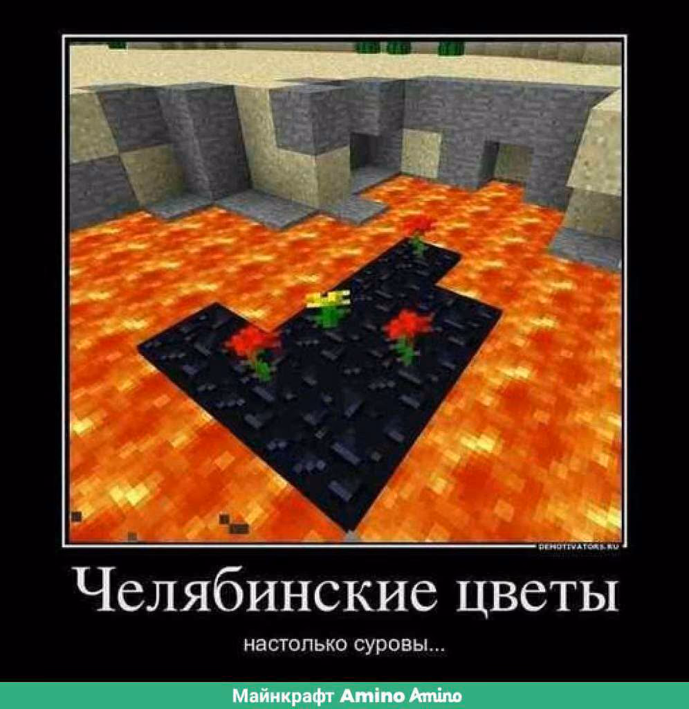 33471735e1d9250f0a973ff639cebd18.jpg