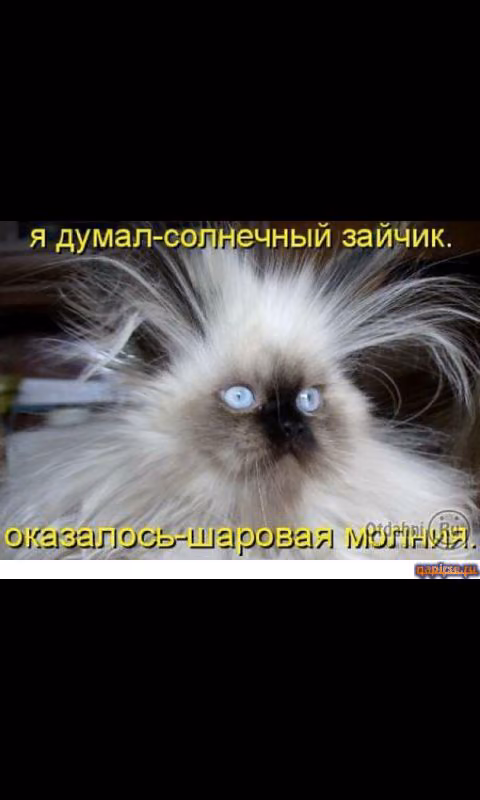 3372341976141828e592f6c514ea7b76.avif