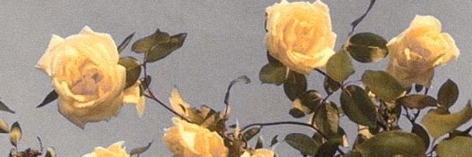 3379fdd2d87074baef015fe4507277eb.avif