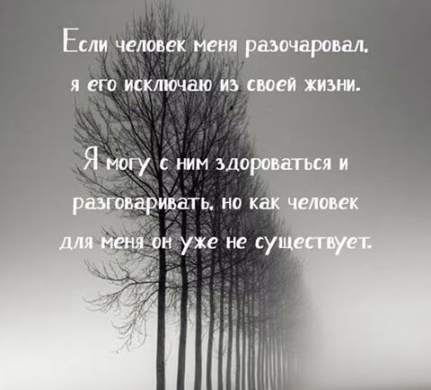337c2b1e79d94d5bc03b9edd6d875b1b.jpg
