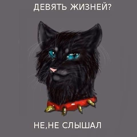 337c69c99b6f2c2fa892614acc8c85a0.avif