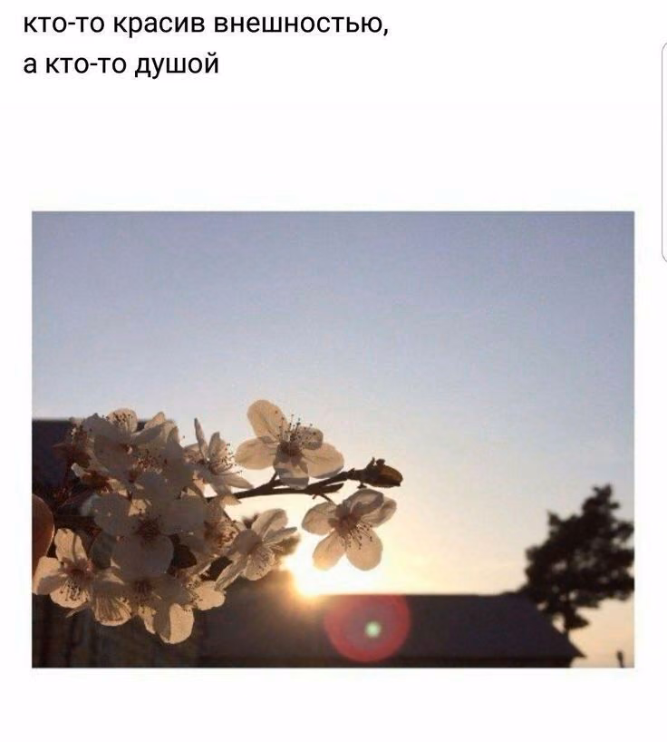 338077ab2fd84779034c078eabadd9b5.jpg