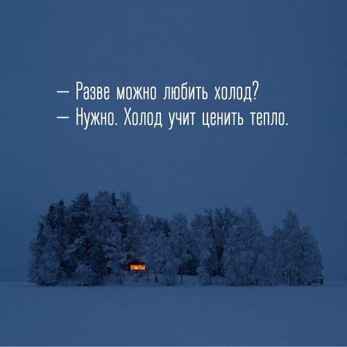 3385aa7c78cc19c20c170650d38dd510.jpg