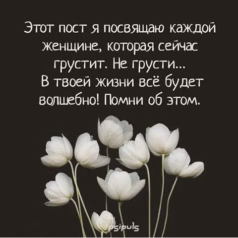 33ac59392a3ad7f9f9825d1ea7f4efbc.jpg