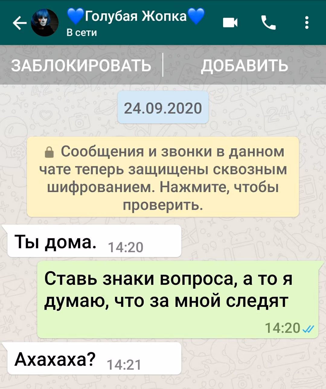 33b503701505c7e0b73cf2011f58b94f.avif
